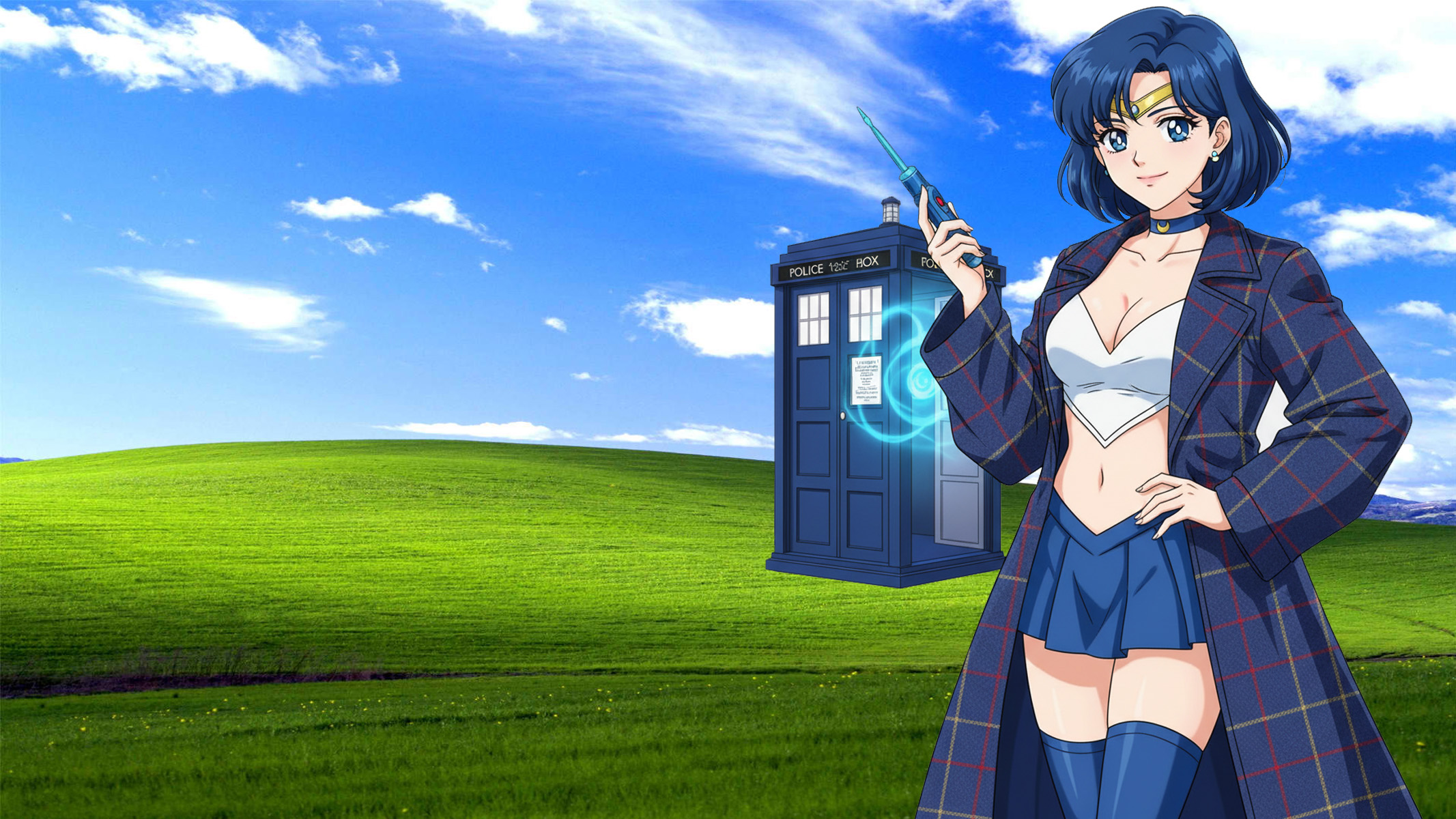 Doctor-Who-Tag oder Tardis Tag