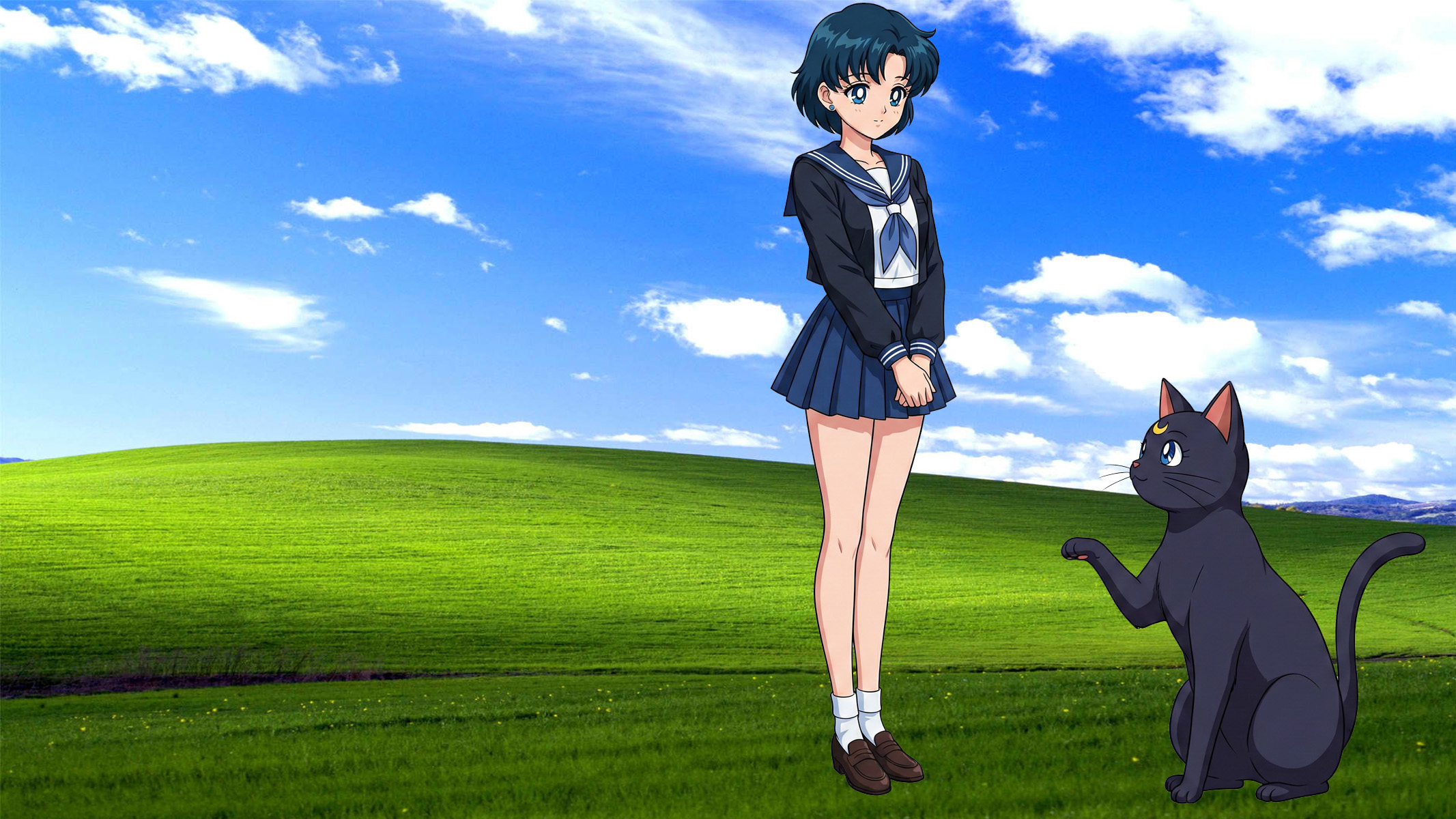 Beantworte-die-Fragen-Deiner-Katze-Tag