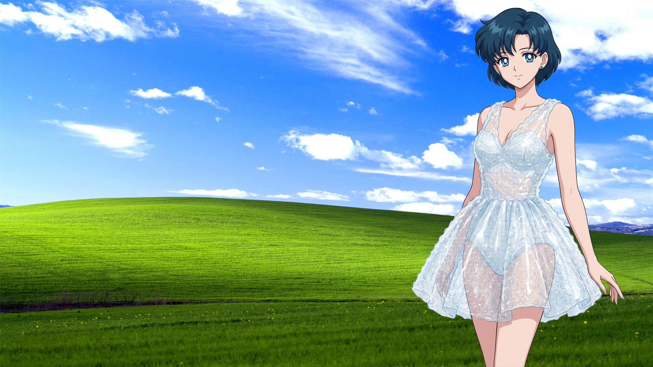 Ehrentag der Luftpolsterfolie